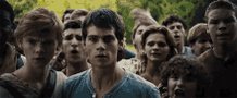 The Maze Runner Maze Runner...