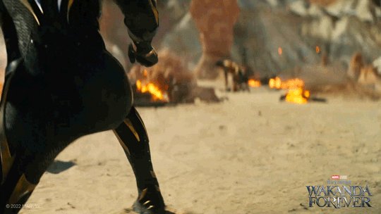 Black Panther Wakanda Forev...