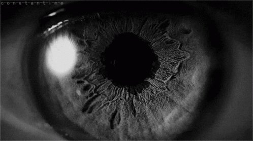 Eye Aesthetic GIF