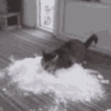 Bobarens Flour GIF