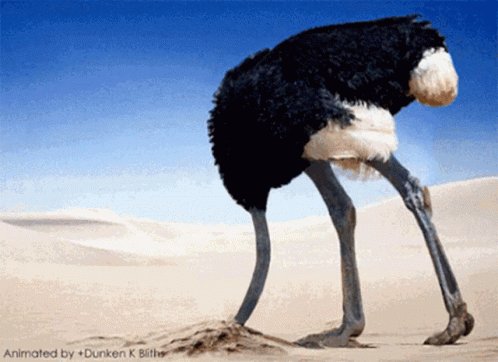 Head Inthe Sand Ostrich GIF