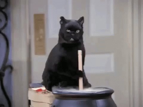 Cat Halloween GIF