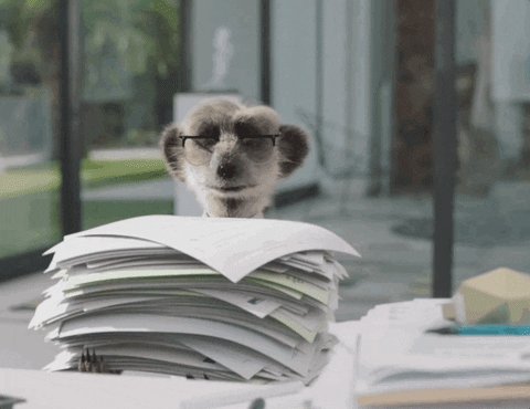 Homework Exit GIF by compar...