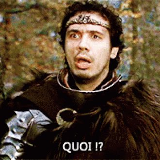 Quoi ?! GIF