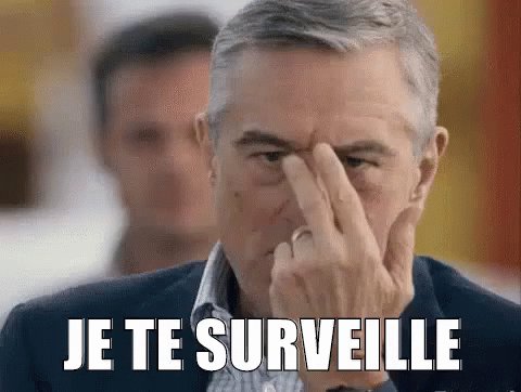 Je Te Surveille GIF