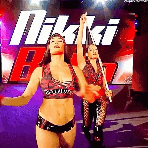   Happy birthday to the hall of famers the Bella Twins 