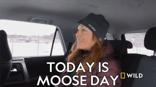 Romi Bean on Twitter: