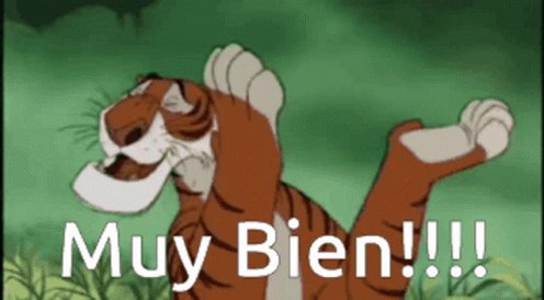 Muy Bien Meme Tigre Aplauso GIF