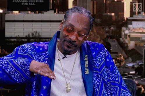 Break Snoop Dogg GIF