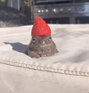 reiinapop fattening arc 🍰🧁🧋 on Twitter: "my little frogchamp 🐸 https