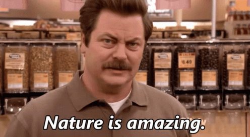 Ron Swanson Nature GIF