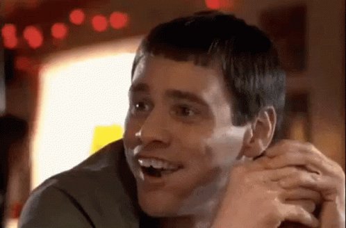 Dumb Dumb And Dumber GIF