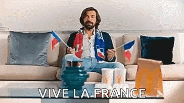 France World Cup GIF