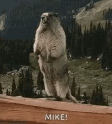 Mike GIF