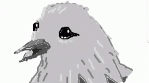 Birb Sad GIF