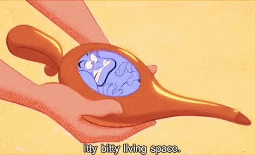 Itty Bitty Living S Pace Alladin GIF