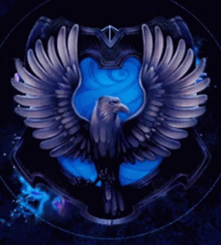 Ravenclaw GIF