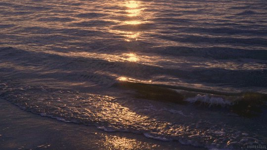 ocean sunset GIF by Living ...