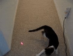 Telegram Messenger on Twitter: "@gatts74183884 @thecomica Oh sure