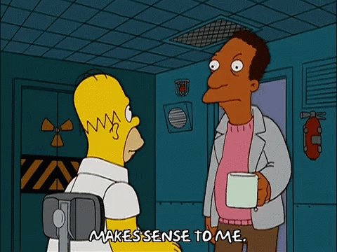 Makes Sense Homer GIF