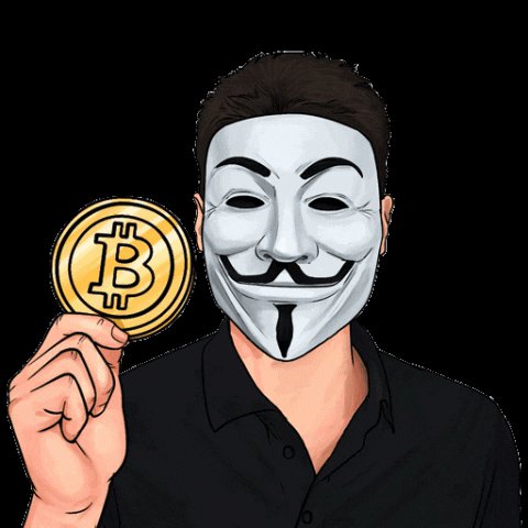 Bitcoin Crypto GIF by Coint...