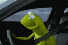 Kermit the frog GIF