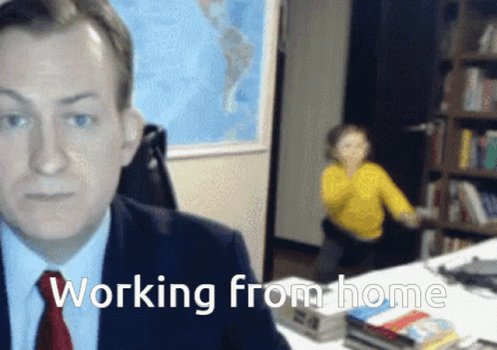 Working From Home Funny GIF