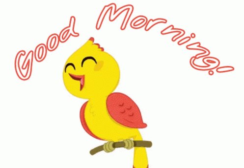 The ЮҮХҮҮ on Twitter: "RT @Batjabat: Өглөөний мэнд жиргээчид ээ"