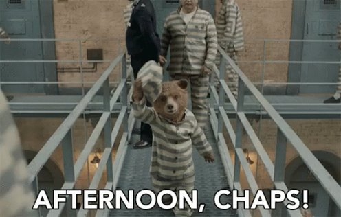 Afternoon Chaps Good Afternoon GIF