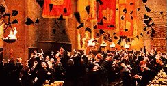 Excited Harrypotter GIF