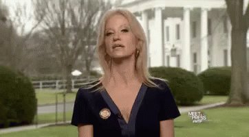 "He gave alternative facts" GIF