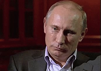 Putin Vladimir Putin GIF