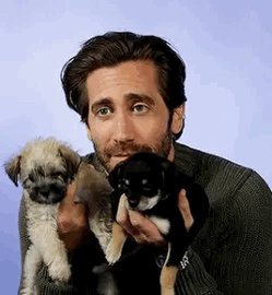 AINT no way I almost forgot it s jake gyllenhaal day what the hell happy birthday husband  