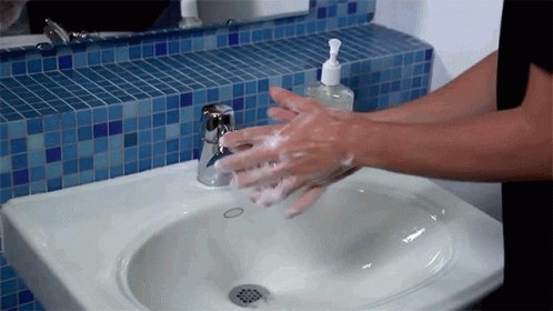 Washing Hands Wash Your Hands GIF
