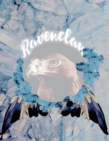 Ravenclaw Hp GIF