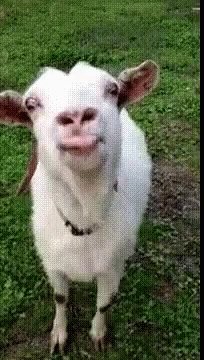 @BigKingLuigi https://t.co/kcqqerxb5g<a class="tags" target="_blank" title="On Twitter" href="/?out=eyJ0eXAiOiJKV1QiLCJhbGciOiJIUzUxMiJ9.eyJpYXQiOjE3MjE5NDM1MzQsImlzcyI6InR3cG9ybnN0YXJzLmNvbSIsIm5iZiI6MTcyMTk0MzUzNCwiZXhwIjoxNzUzNDc5NTM0LCJyZWRpcmVjdF91cmwiOiJodHRwczovL3R3aXR0ZXIuY29tL0JpZ0tpbmdMdWlnaSJ9.4qwae2C0cSmCUg8vtQMzxbvNlXh6KDgPoVEySVWPxcg4Uj6KB-KLfQfCRiJ-kRRpSQFGLYirSPaI_HPsR5GbfA">@BigKingLuigi</a><a href="/tag/feet"class="tags"><span>#feet</span></a><a href="/tag/pso2ngs"class="tags"><span>#pso2ngs</span></a>