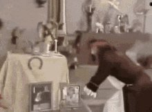 𝗙𝗲𝗱𝗲 𝗖𝗮𝘀𝘁𝗲𝗹𝗹𝗮𝗻𝗶 🇦🇷⭐️⭐️⭐️ on Twitter: "@gonziver Todos somos el #