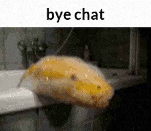 Bye Chat Goodbye GIF