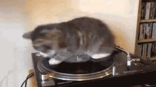 Spin Record GIF