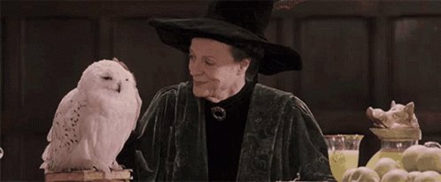 Happy Birthday, Dame Maggie Smith AKA Professor Minerva McGonagall 