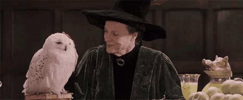 Happy Birthday, Dame Maggie Smith AKA Professor Minerva McGonagall 