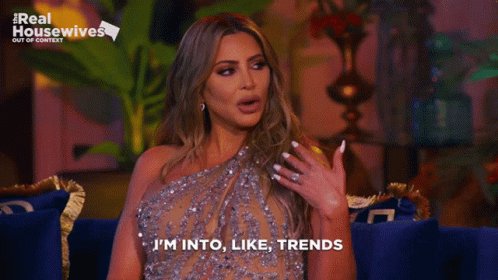 Real Housewives Housewives GIF