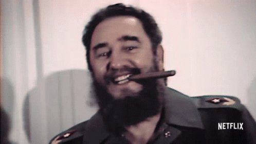 Fidel Point GIF