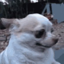 No les ha pasado que se identifican con el personaje mierda de la serie? https://t.co/DnRZRFuHDr