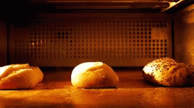 Bread Rolls GIF