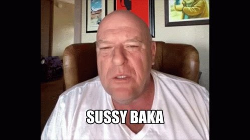 Sussy Ty The Rock Meme GIF