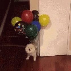 Doggo Balloons GIF