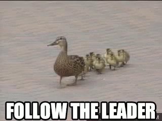 Follow The Leader GIF
