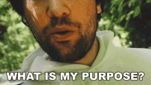 What Is My Purpose Yoe Mase GIF