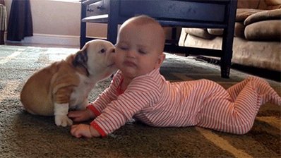 Puppy Love Kiss GIF by Huff...